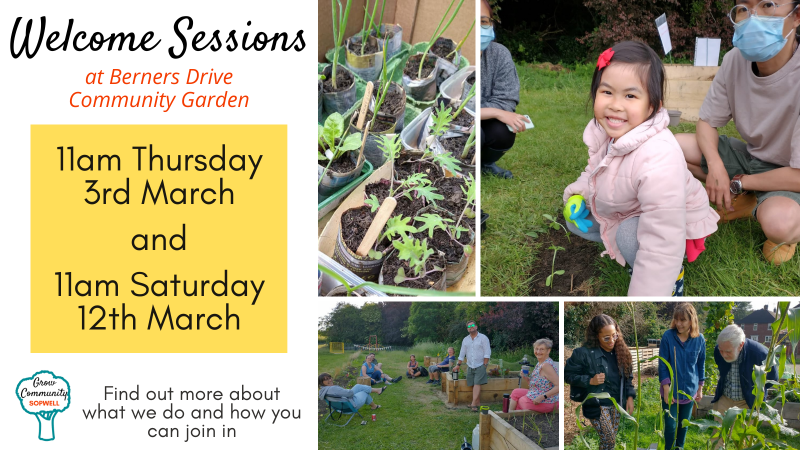 Welcome sessions 11am Thursday 3rd March and 11am Saturday 12th March, potted tomatoes, girl with gardening gloves, Communi-tea session, people enjoying gardening